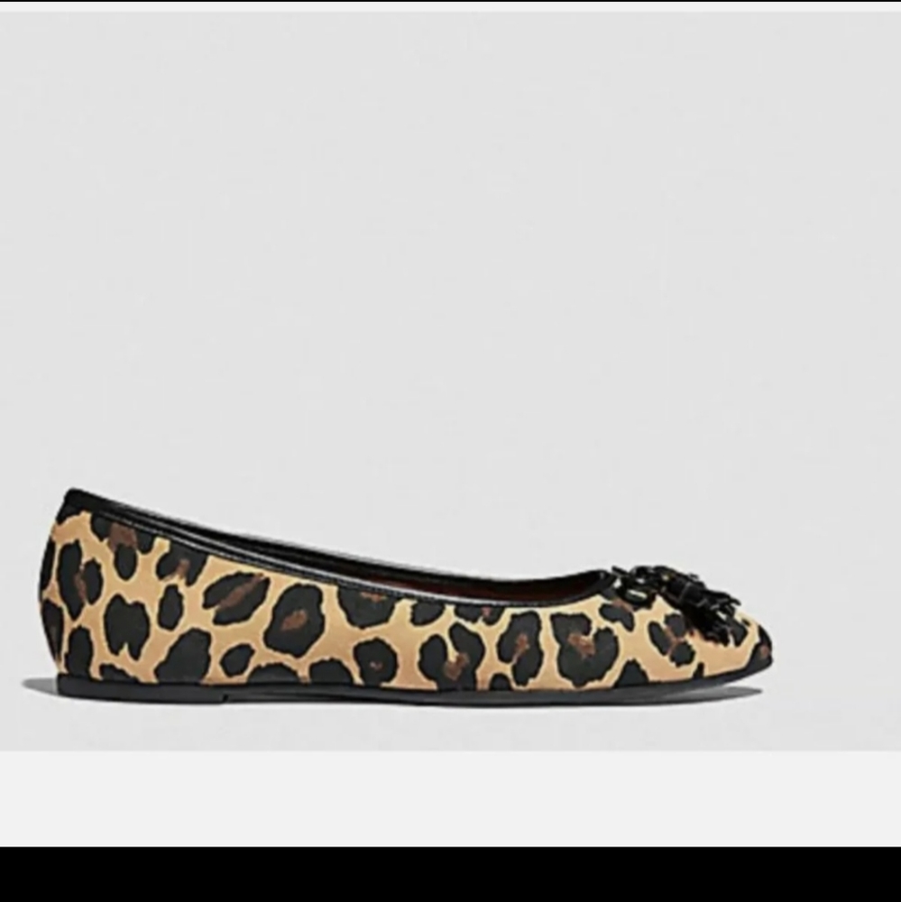 Coach leopard flats - Picture 2 of 4